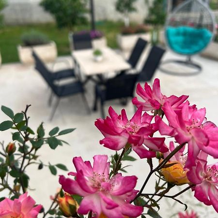 Sunny Hill - Parking - Fenced Garden - Luxury Loft Apartment Kotor Luaran gambar