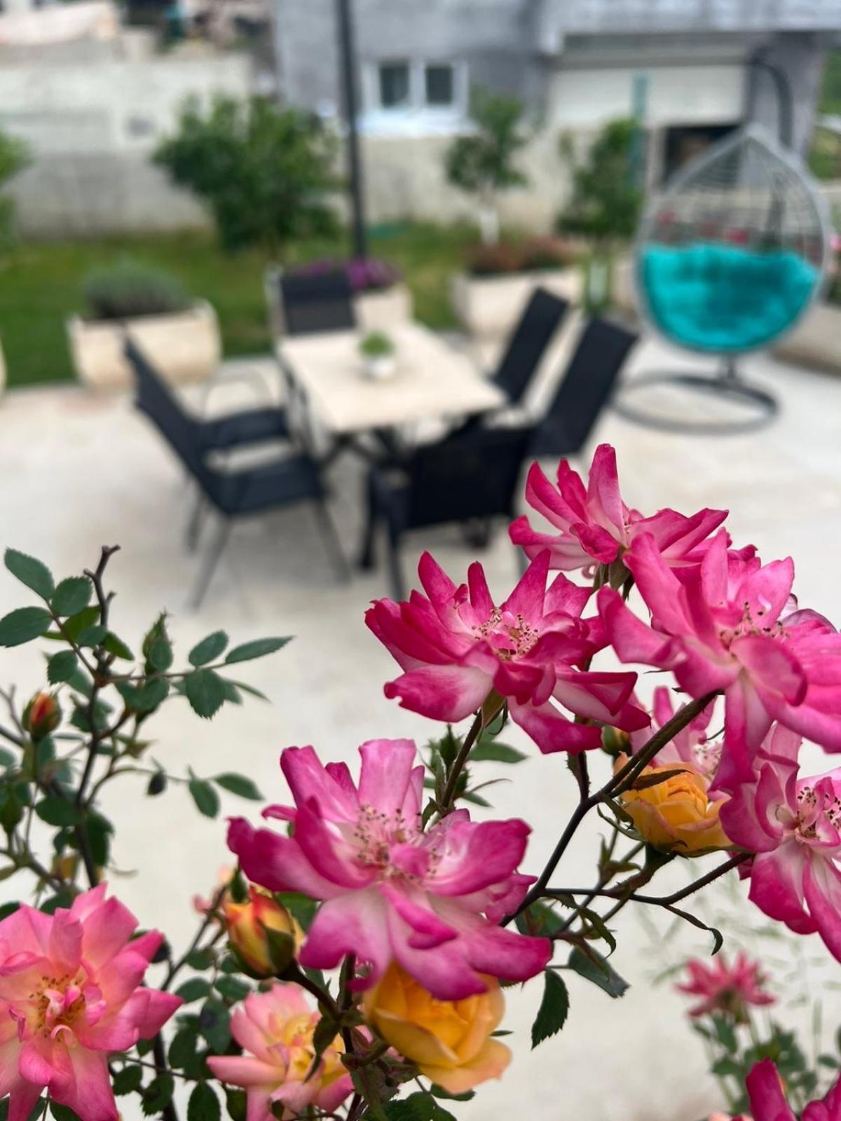 Sunny Hill - Parking - Fenced Garden - Luxury Loft Apartment Kotor Luaran gambar